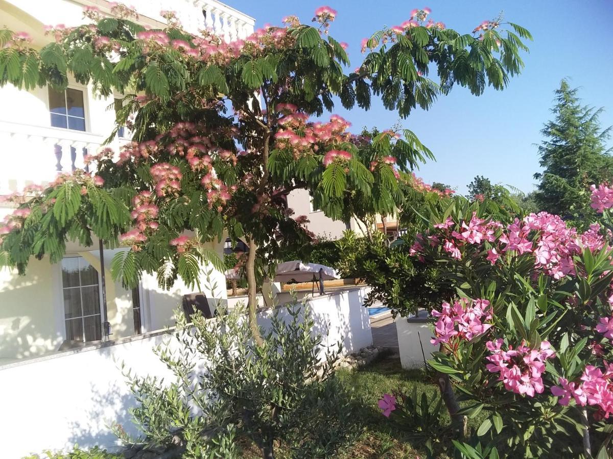 House Apartments Ariamare Poreč Eksteriør bilde