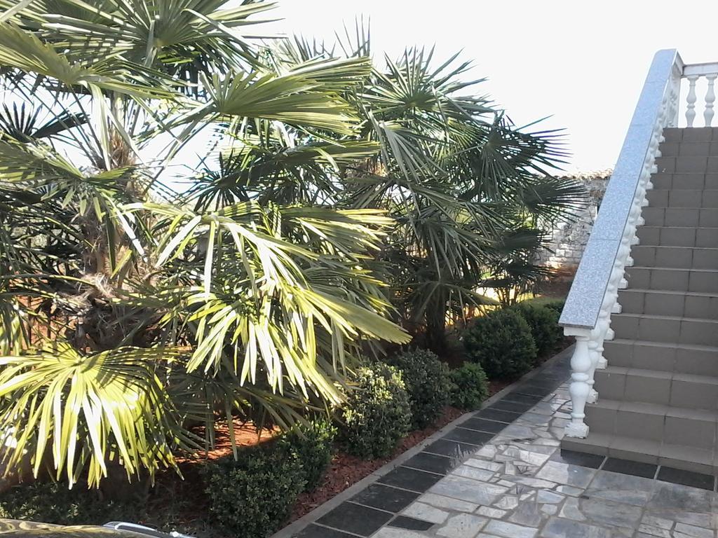 House Apartments Ariamare Poreč Eksteriør bilde